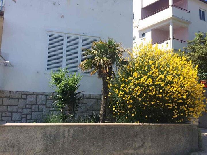 Apartment Ella Banjol Exterior photo